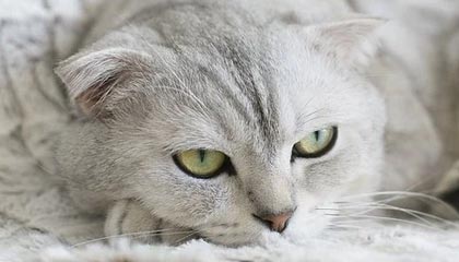 湛江伴游，定制QQ：3494206190微信：act1322