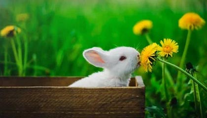 湛江伴游，定制QQ：3494206190微信：act1322